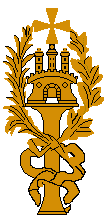 [Hamburg Citizens' Militia infantry finial]
